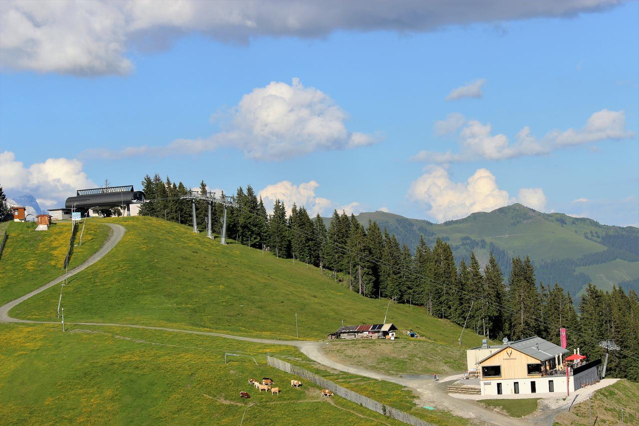 Schmiedhof Alm Hotel Zell am See Luaran gambar