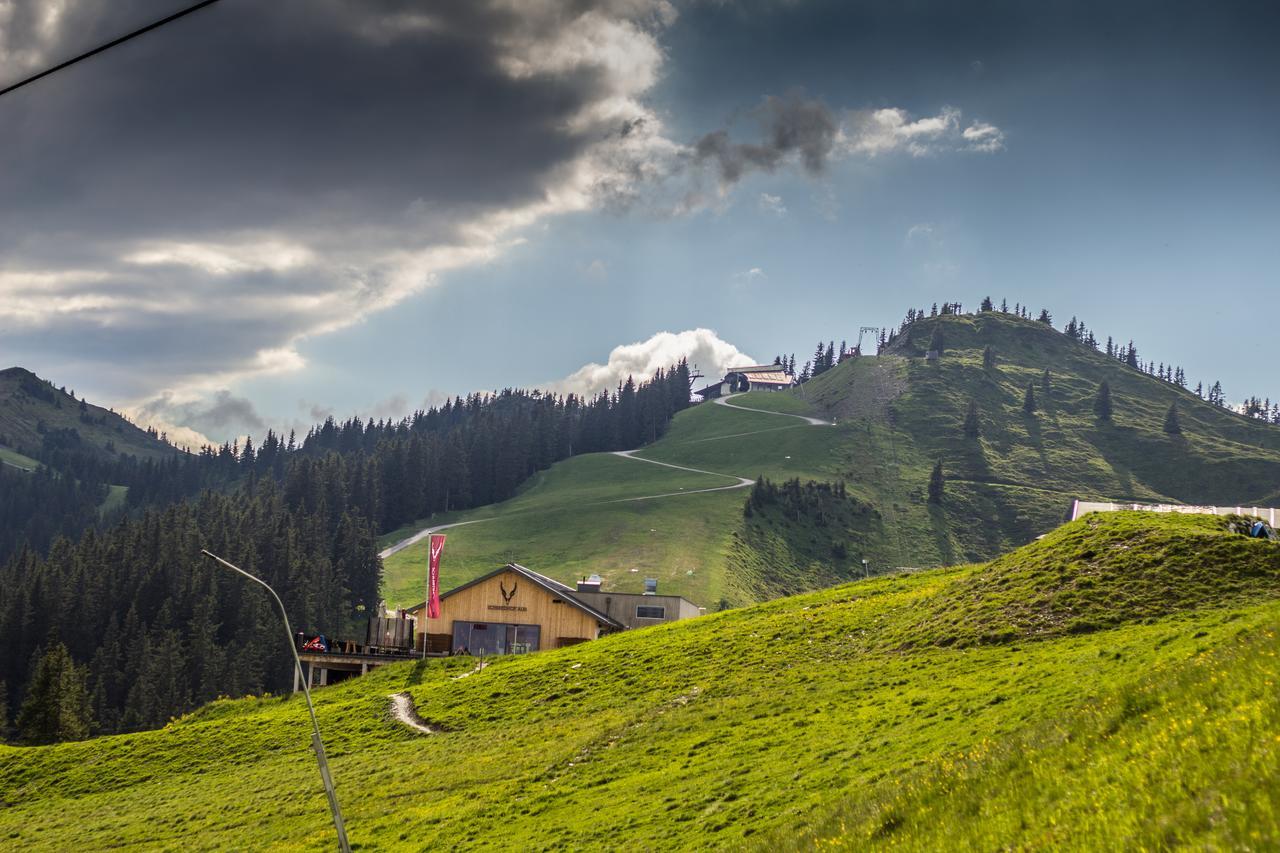 Schmiedhof Alm Hotel Zell am See Luaran gambar